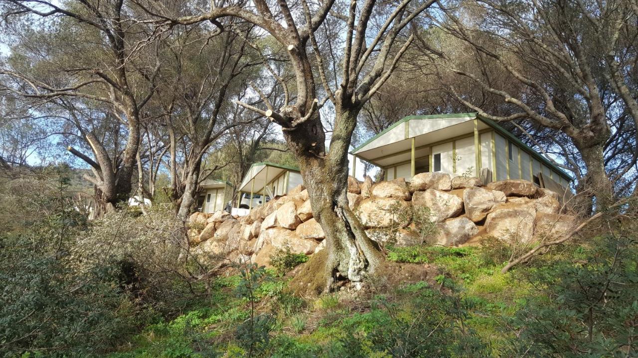 Residence A Tribbia Olmeto  Luaran gambar