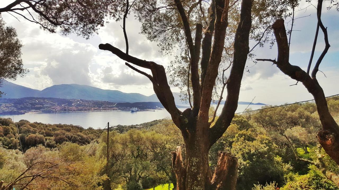 Residence A Tribbia Olmeto  Luaran gambar